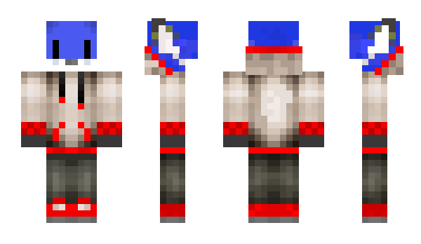 Minecraft skin PandaSweg_