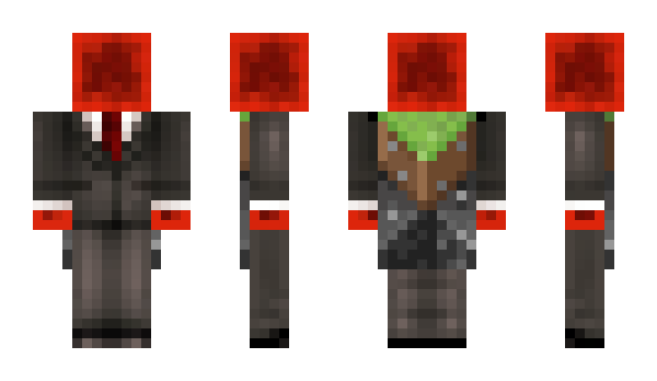 Minecraft skin katpul