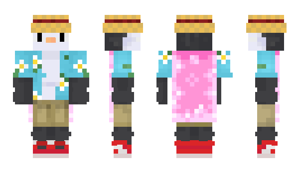 Minecraft skin Drwsk