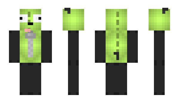 Minecraft skin GIR_