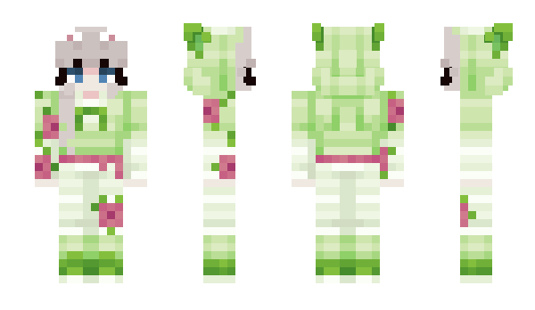 Minecraft skin Spriggatito