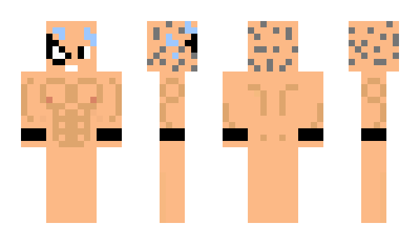 Minecraft skin ThKobra