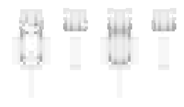 Minecraft skin informieren