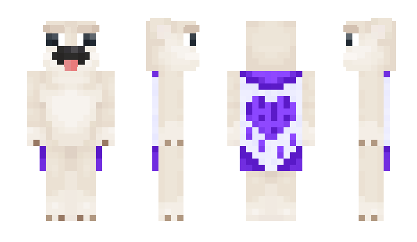 Minecraft skin dc_s