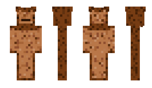 Minecraft skin toastique