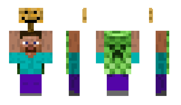 Minecraft skin ipipipip