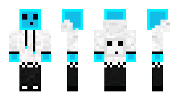 Minecraft skin ReimeX