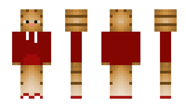 Minecraft skin Akoboi