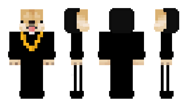 Minecraft skin FYSPUNZANO