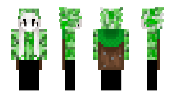 Minecraft скин по нику ninelves
