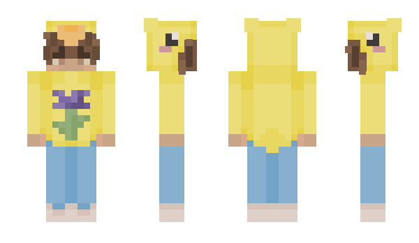 Minecraft skin Minkor65