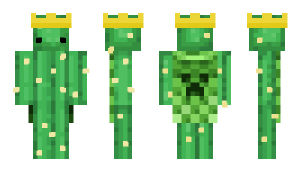 Minecraft skin Zakitsu