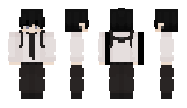 Minecraft skin Pasing