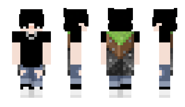 Minecraft скин по нику Poka_stopki