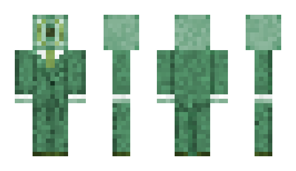 Minecraft skin _Lithops_