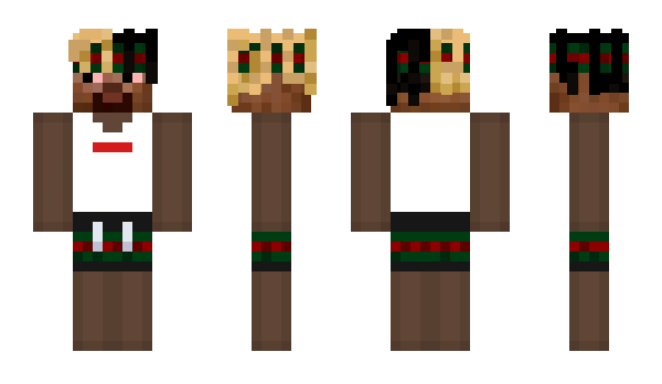 Minecraft skin BBQ_Muts