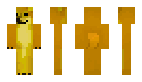 Minecraft skin tnym