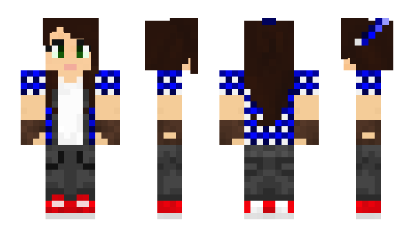 Minecraft skin RayDC