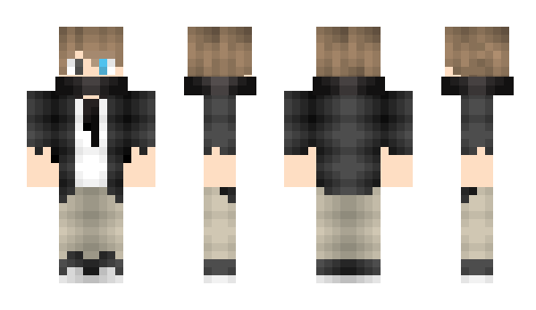 Minecraft skin Hanaisu