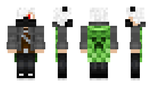 Minecraft skin Tidzisi1