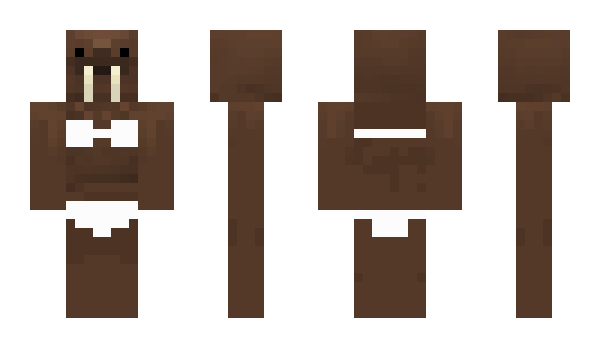 Minecraft skin PolarisPotato