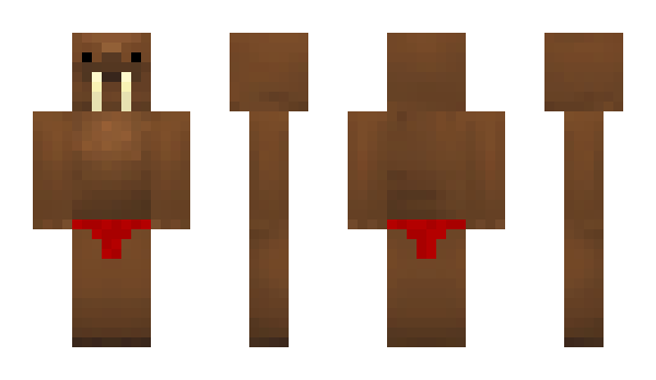 Minecraft skin walrus1209