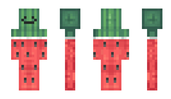 Minecraft skin WaterMelonKim