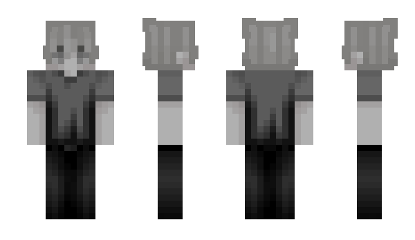 Minecraft skin HeerJay