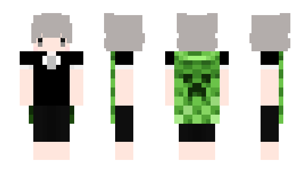 Minecraft skin Ru1_Zzz