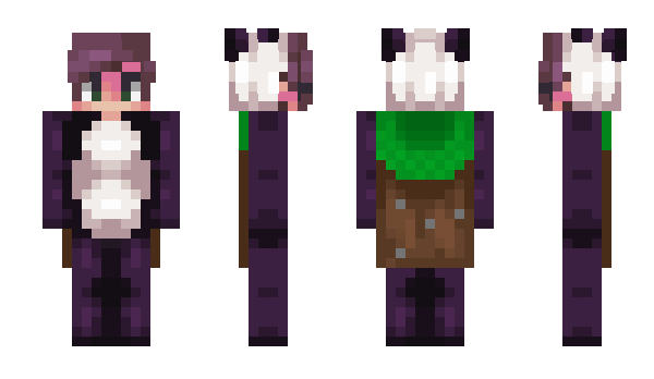Minecraft skin p3nguinh00dMC