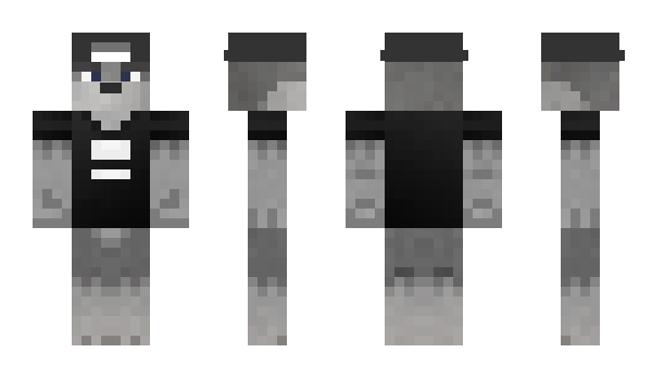 Minecraft skin T0M_