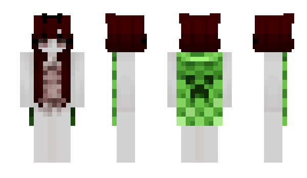 Minecraft skin paytonsvibe
