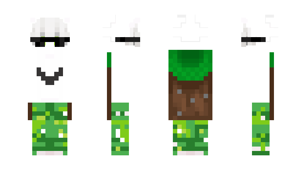 Minecraft скін по ніку Silver8254