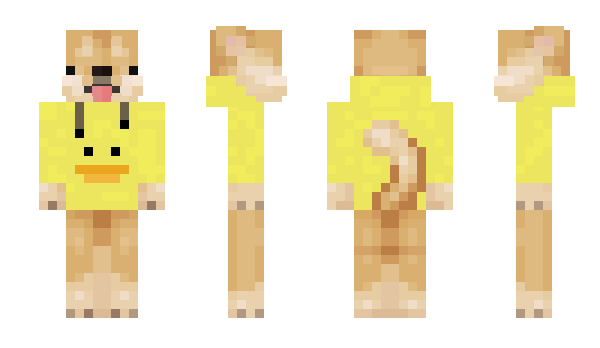 Minecraft skin ZedRK