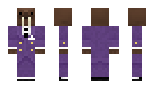 Minecraft skin warpzone0512