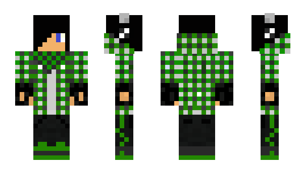 Minecraft skin _Mr_show_