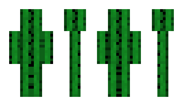 Minecraft skin CactusMcCoy