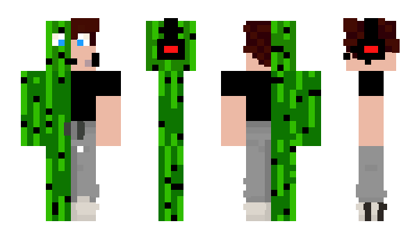 Minecraft skin KACTU