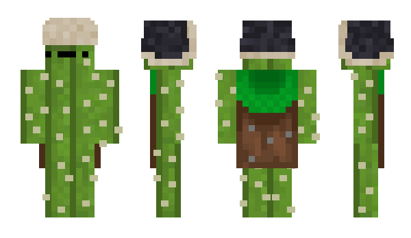 Minecraft skin CZPikles