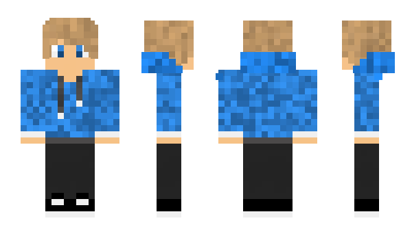 Minecraft skin _F0X_