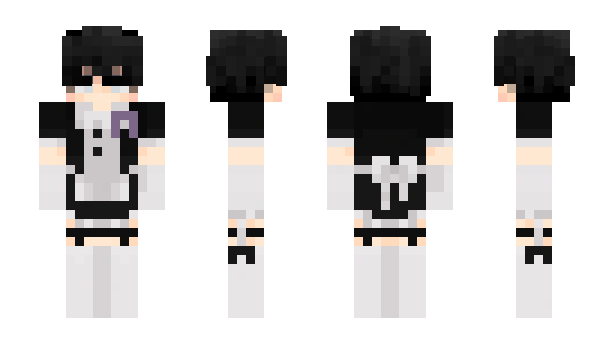 Minecraft skin snzc