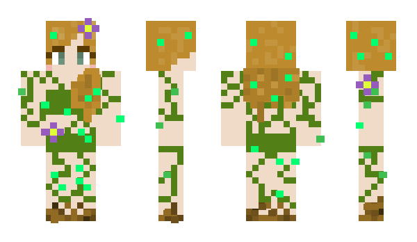 Minecraft skin Ninner