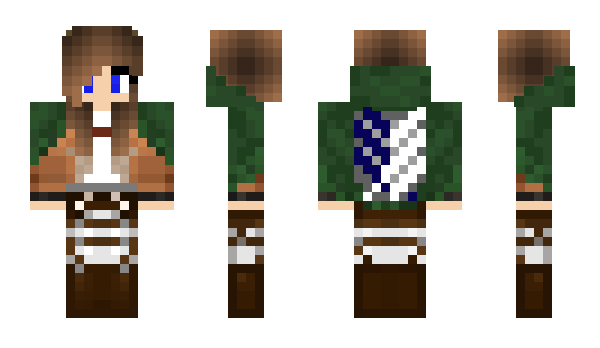 Minecraft skin premely