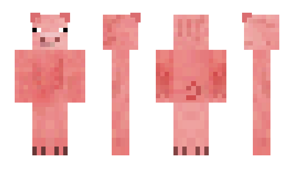 Minecraft skin verlixrer