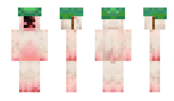 Minecraft skin Awfi