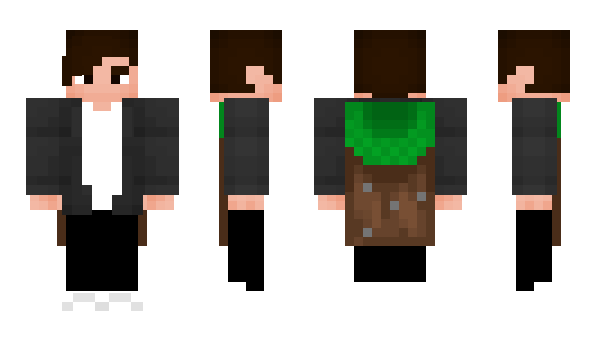 Minecraft skin Vityariks