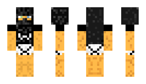 Minecraft skin 4955