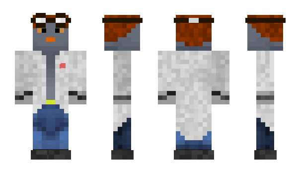 Minecraft skin 10916