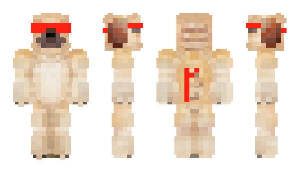Minecraft skin rozen3