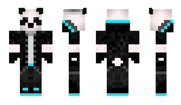 Minecraft skin trynetCo_